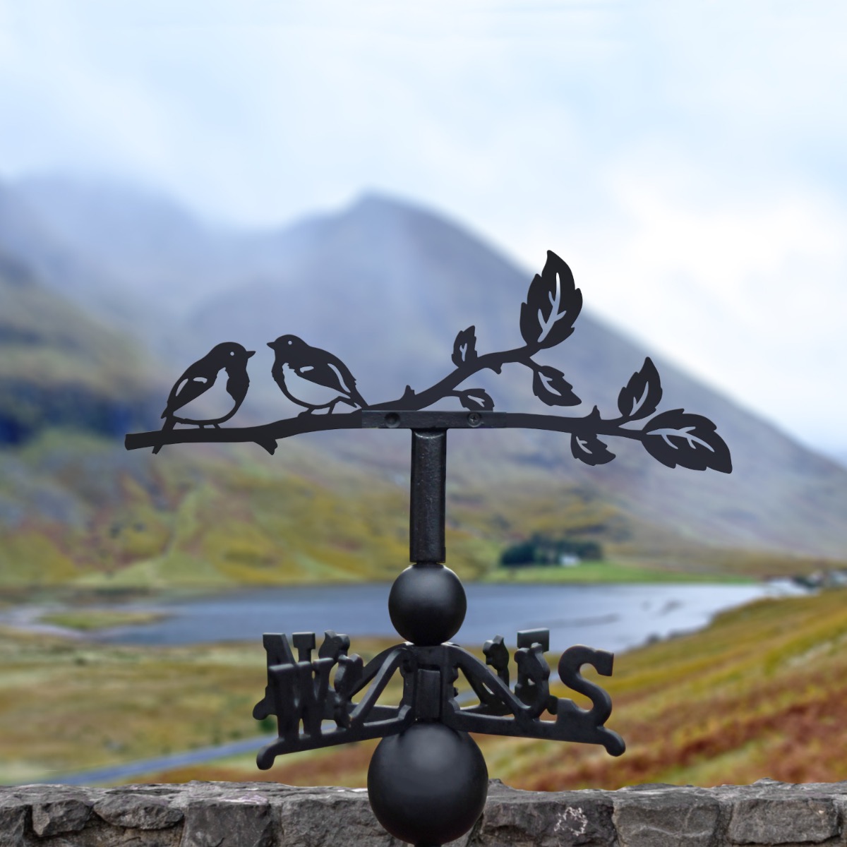 Cast Iron & Steel Pair Of Robins Weathervane