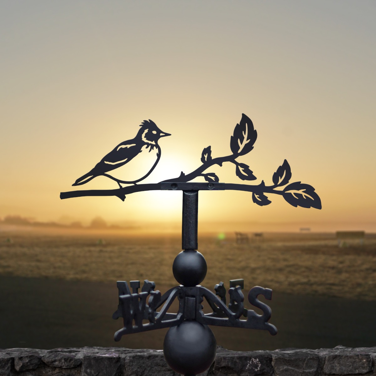 Cast Iron & Steel Skylark Weathervane