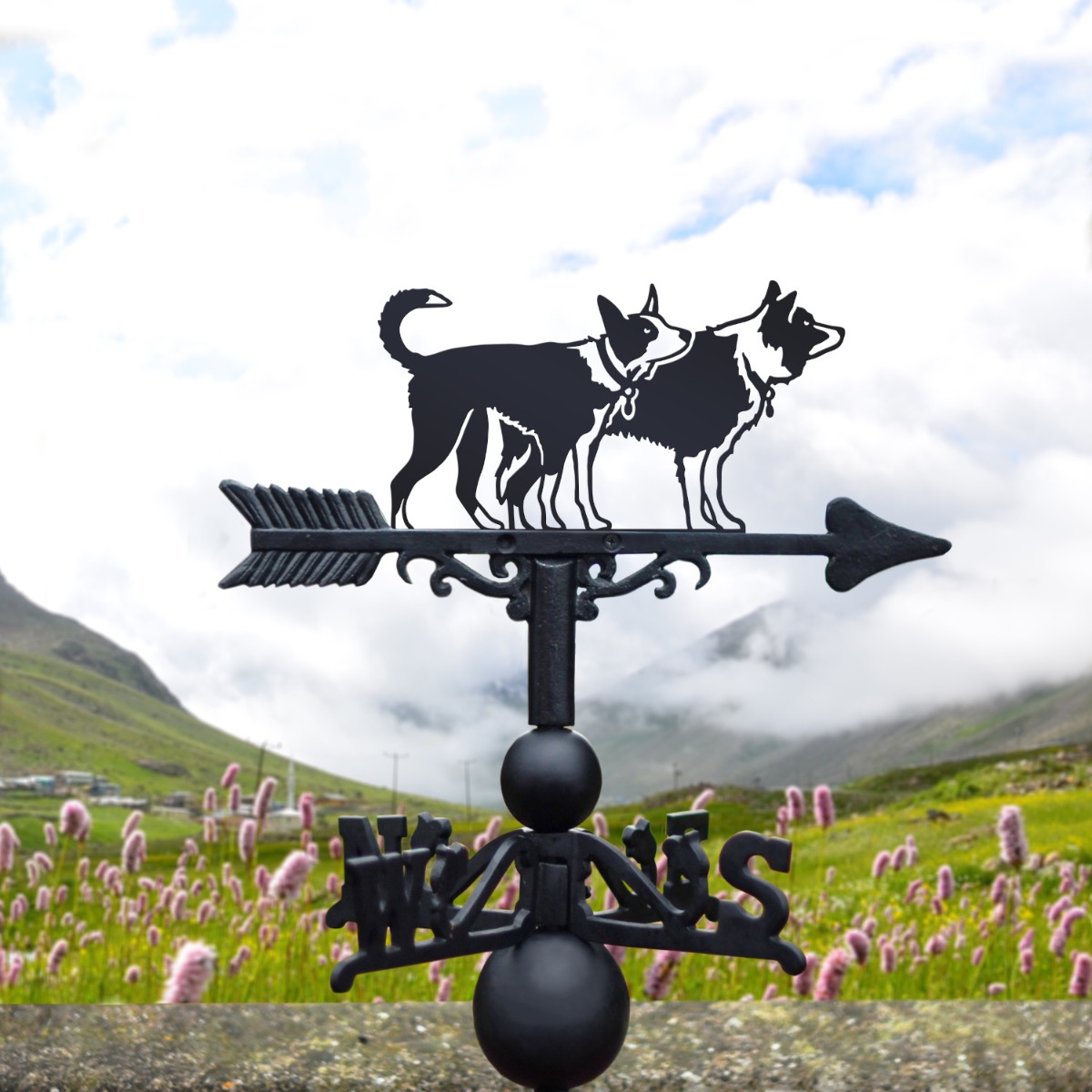 Cast Iron & Steel Two Border Collies Weathervane