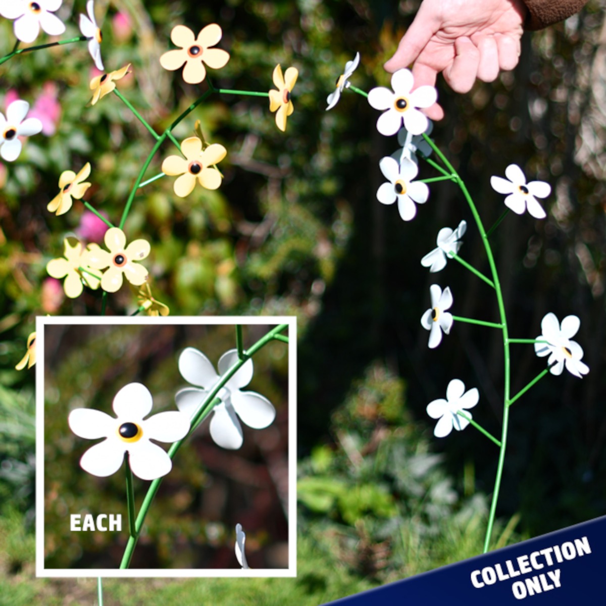 Forget-Me-Not Garden Flower Spike (Collection Only) (Clearance)
