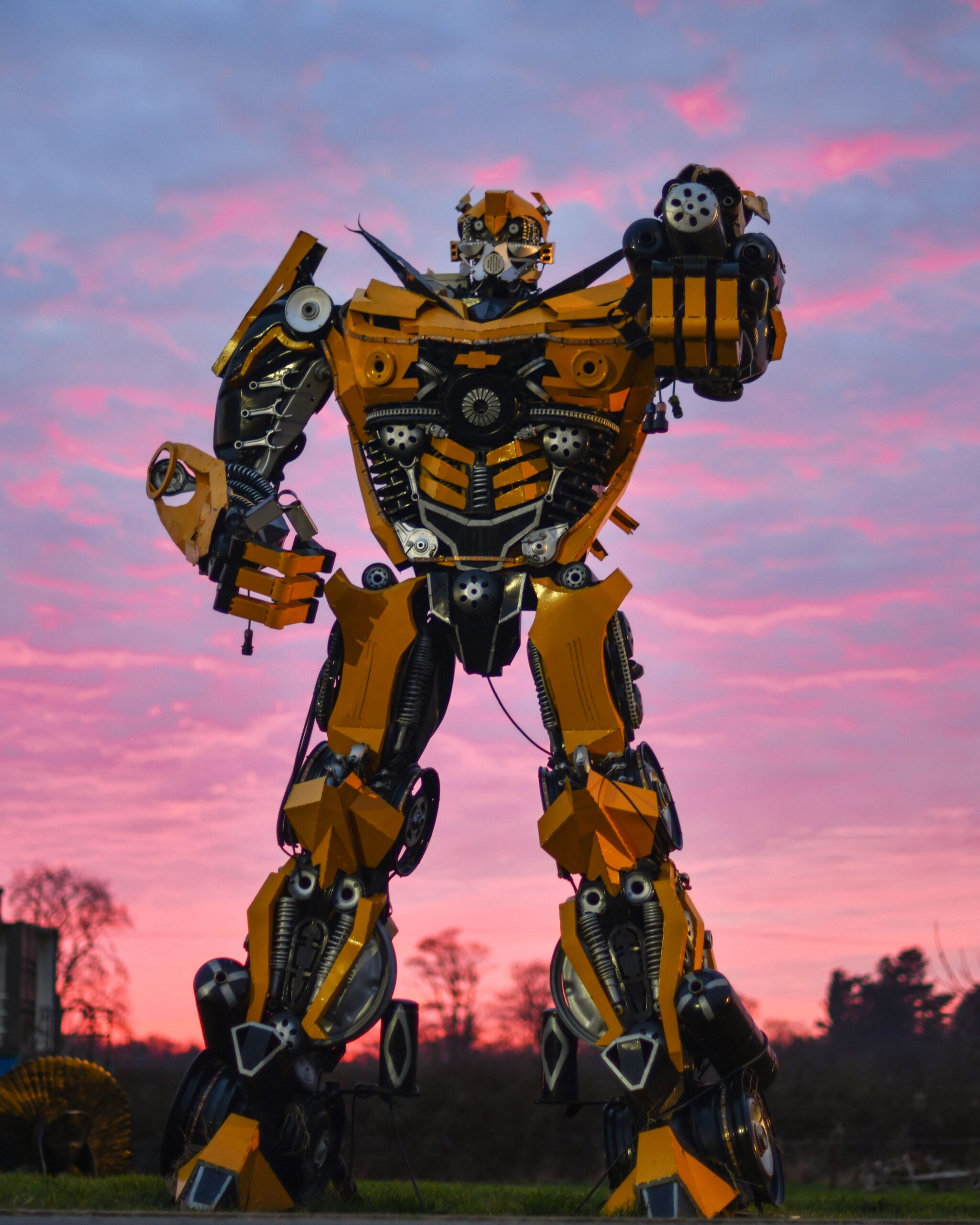 Bumblebee at Sunset