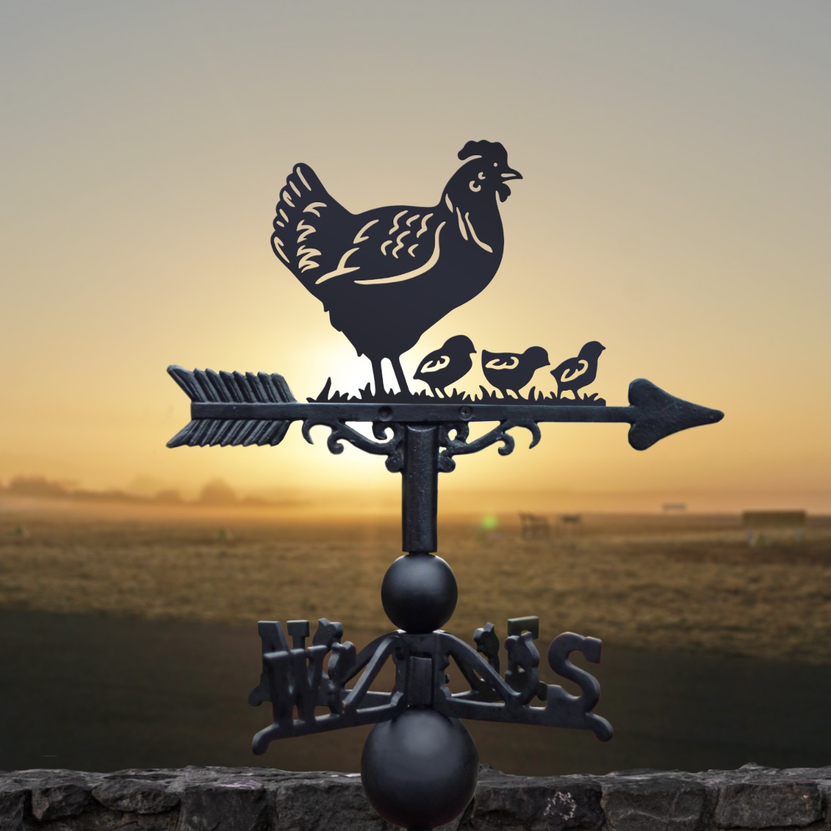 Cast Iron & Steel Hen & Three Chicks Weathervane