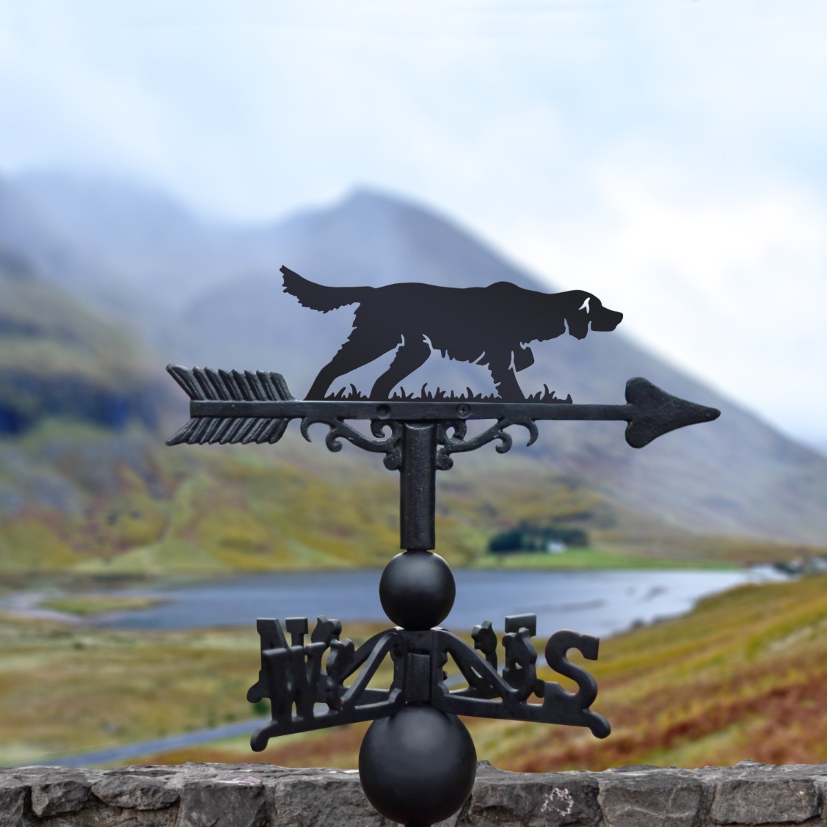 Cast Iron & Steel Running Irish Sett…
