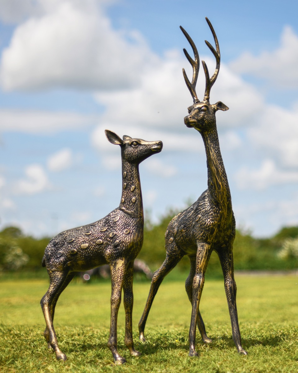 "Felix & Felicity" Fallow Deer Pair