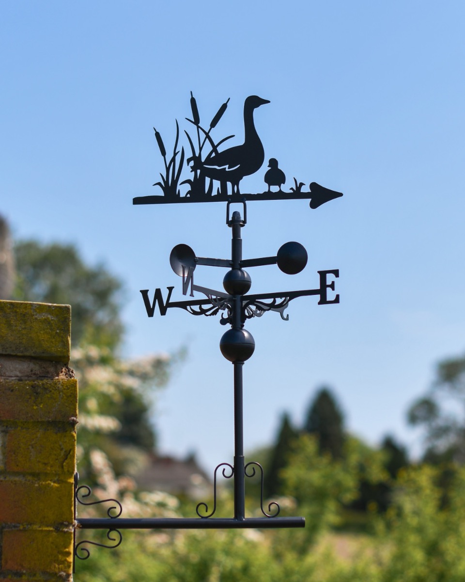 Steel Mother Duck & Duckling Weather…