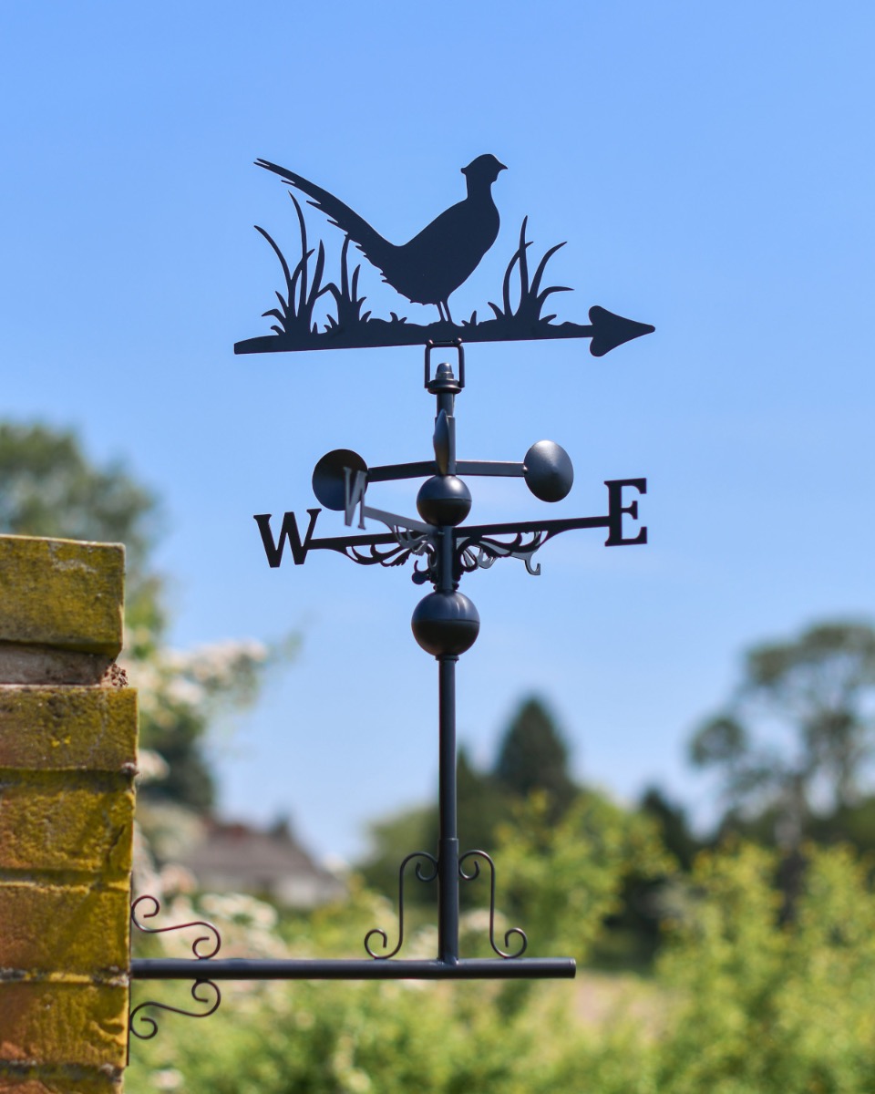 Steel Pheasant Weathervane