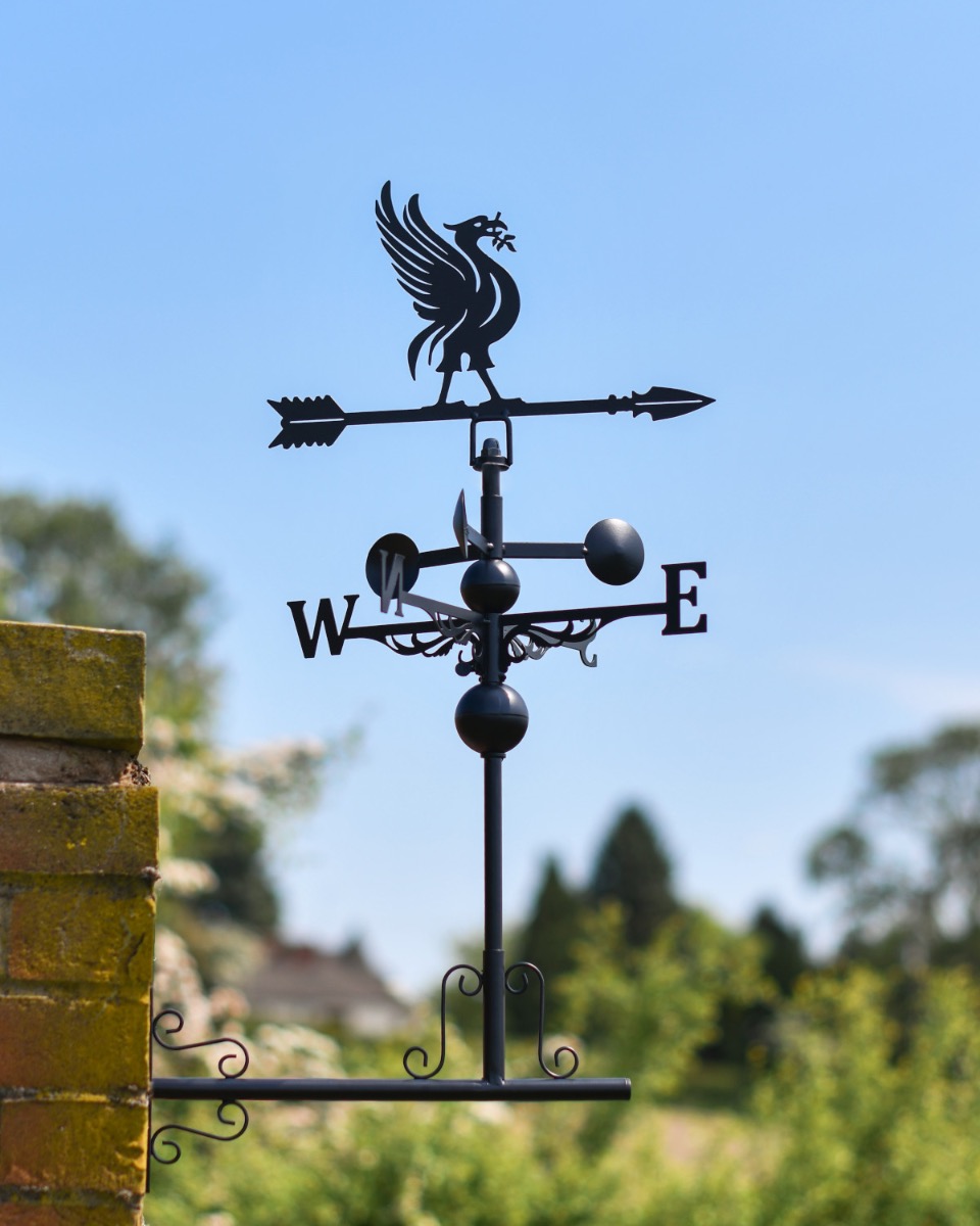 Steel Liver Bird Weathervane