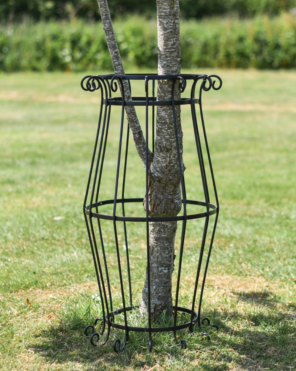 "Theseus" Large Tree Guard