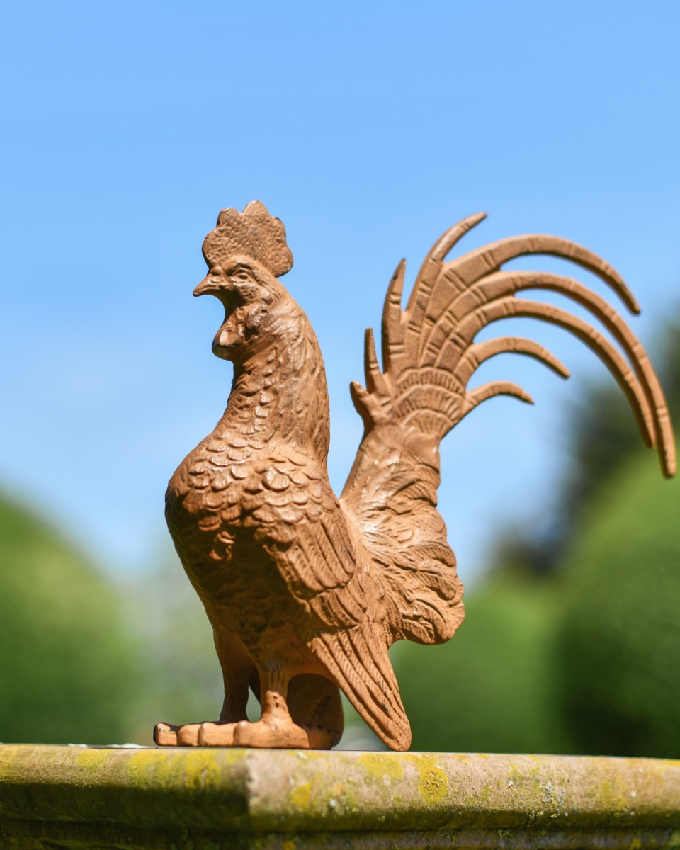 Cast Aluminium "Robert" Rooster Statue In Rustic
