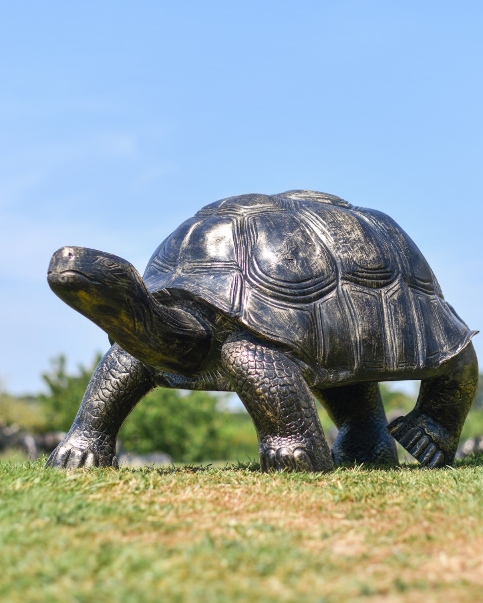 'Mickey' Brushed Gold Cast Aluminium Tortoise Sculpture