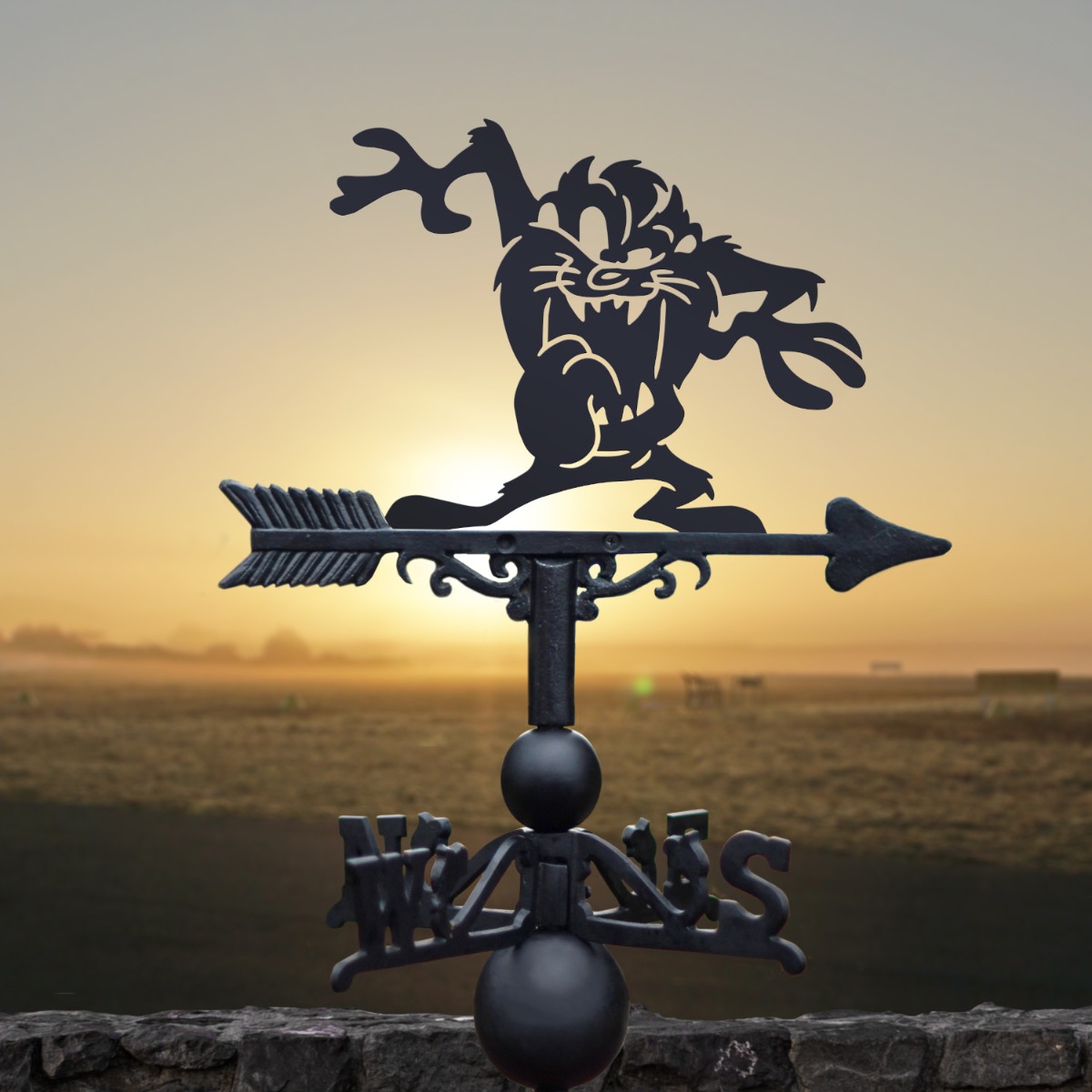 Cast Iron & Steel Cartoon Tasmanian Devil Weathervane