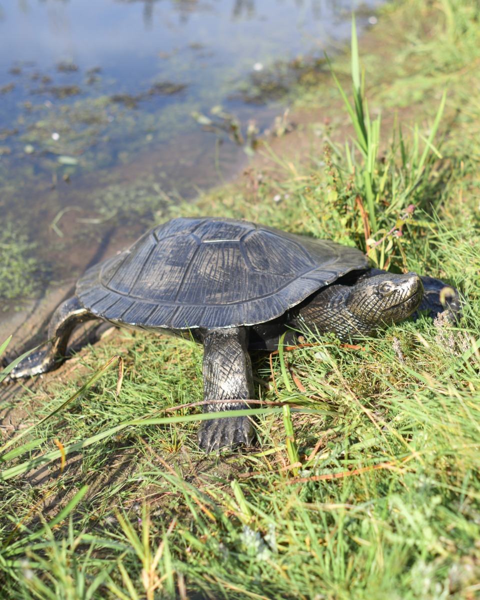 'Tennessee' Brushed Gold Turtle Garden Sculpture