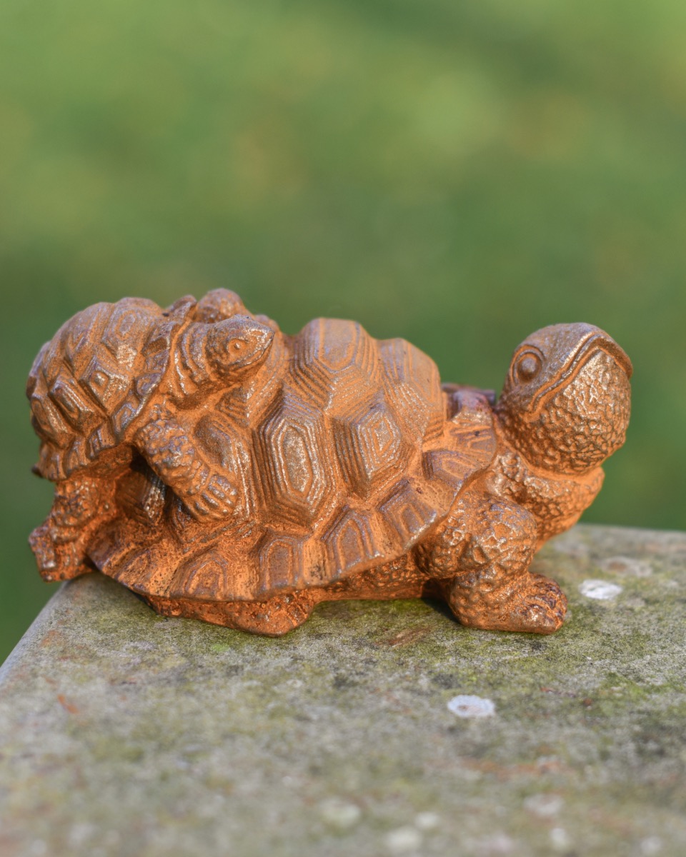 Rustic Cast Iron Mother And Baby Tortoise