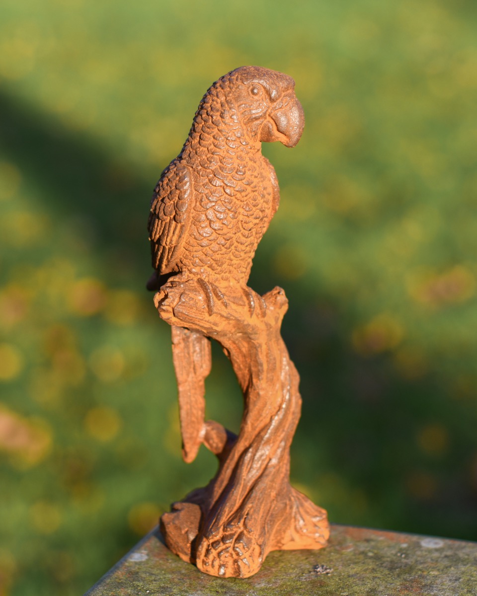 Rustic Cast Iron Parrot On A Branch