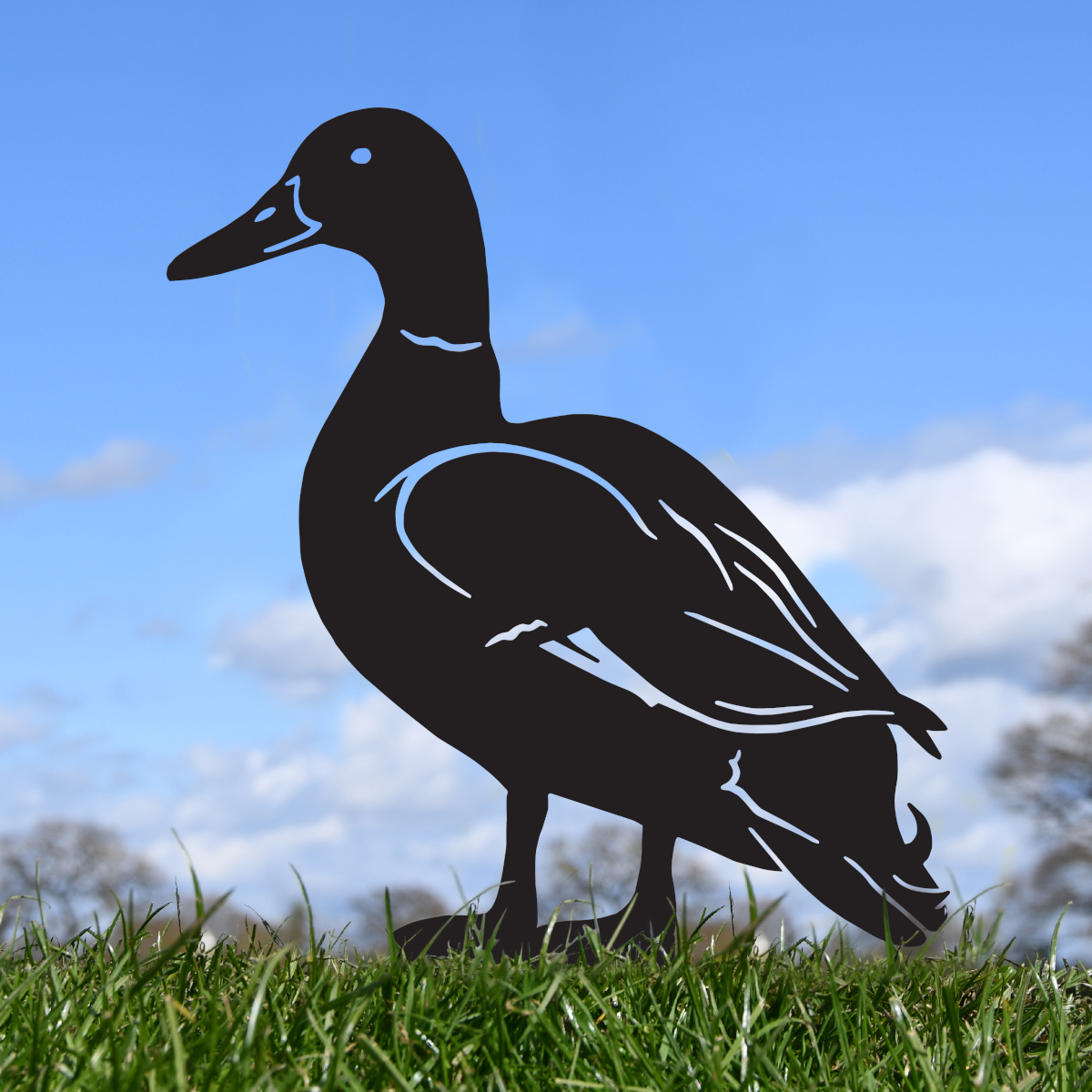 Black Mallard Drake Silhouette