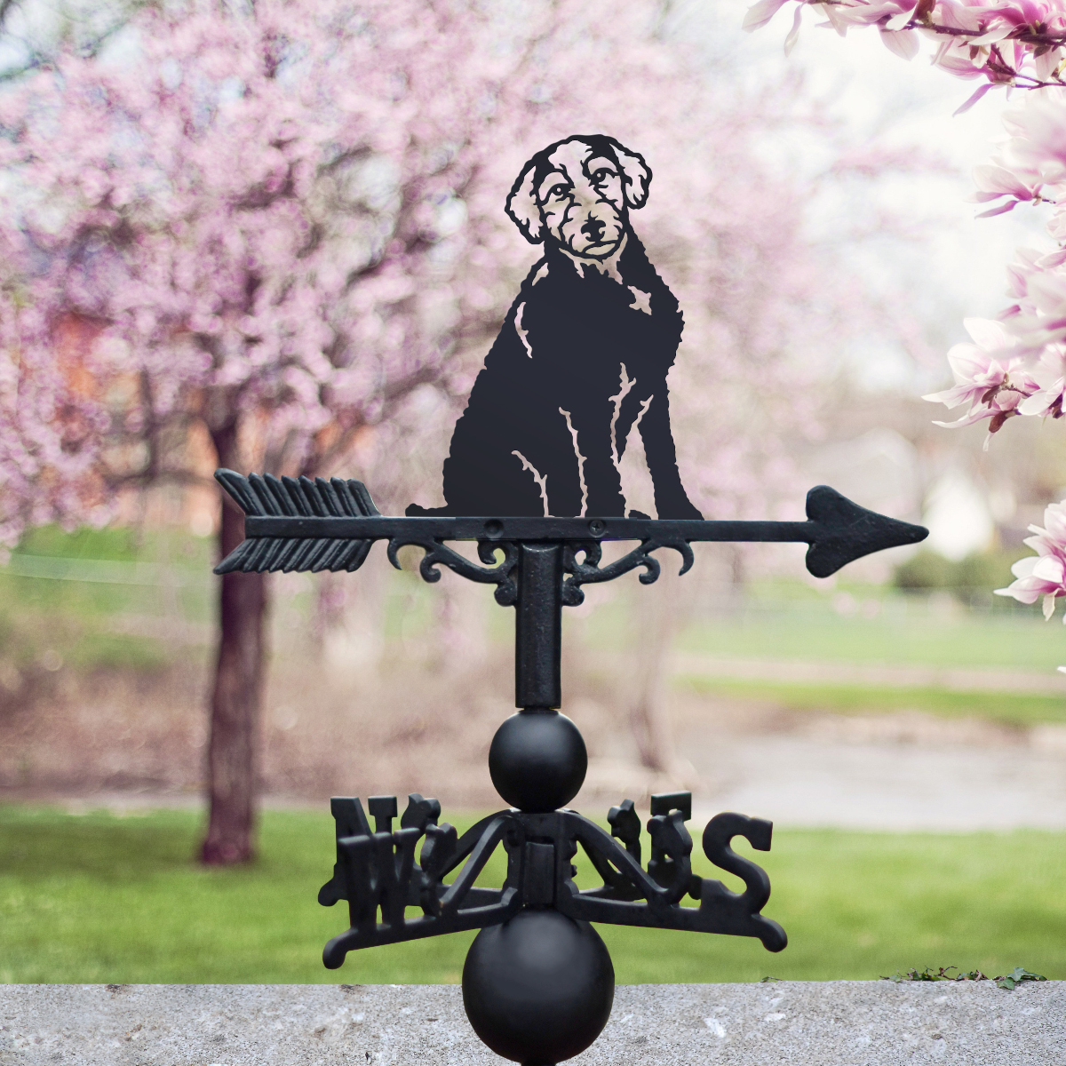 Cast Iron & Steel Labradoodle Weathervane
