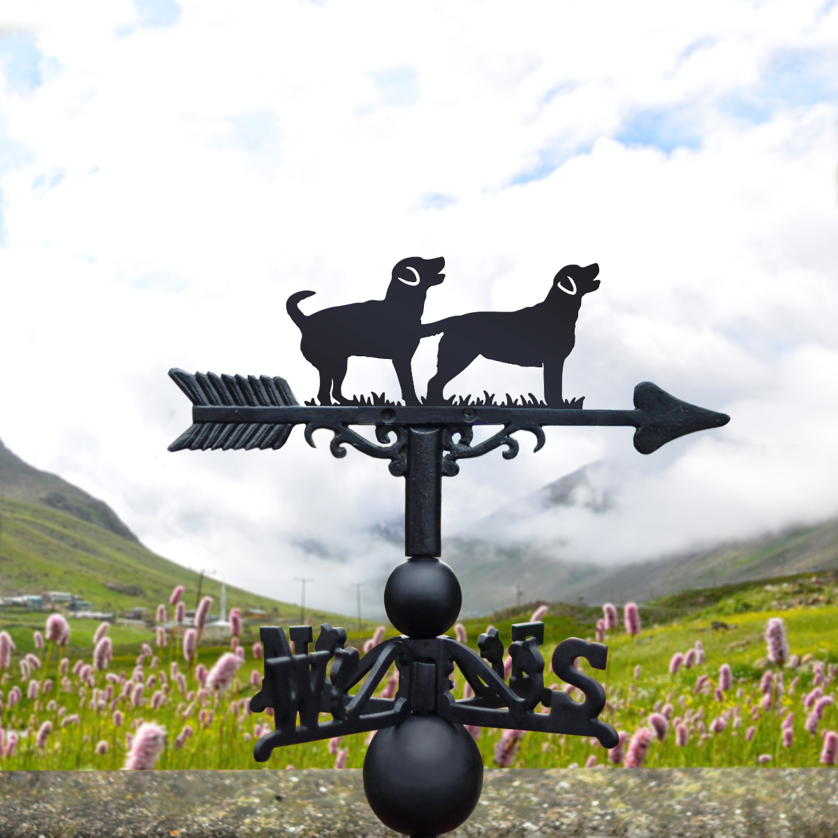 Cast Iron & Steel Two Labradors Weathervane