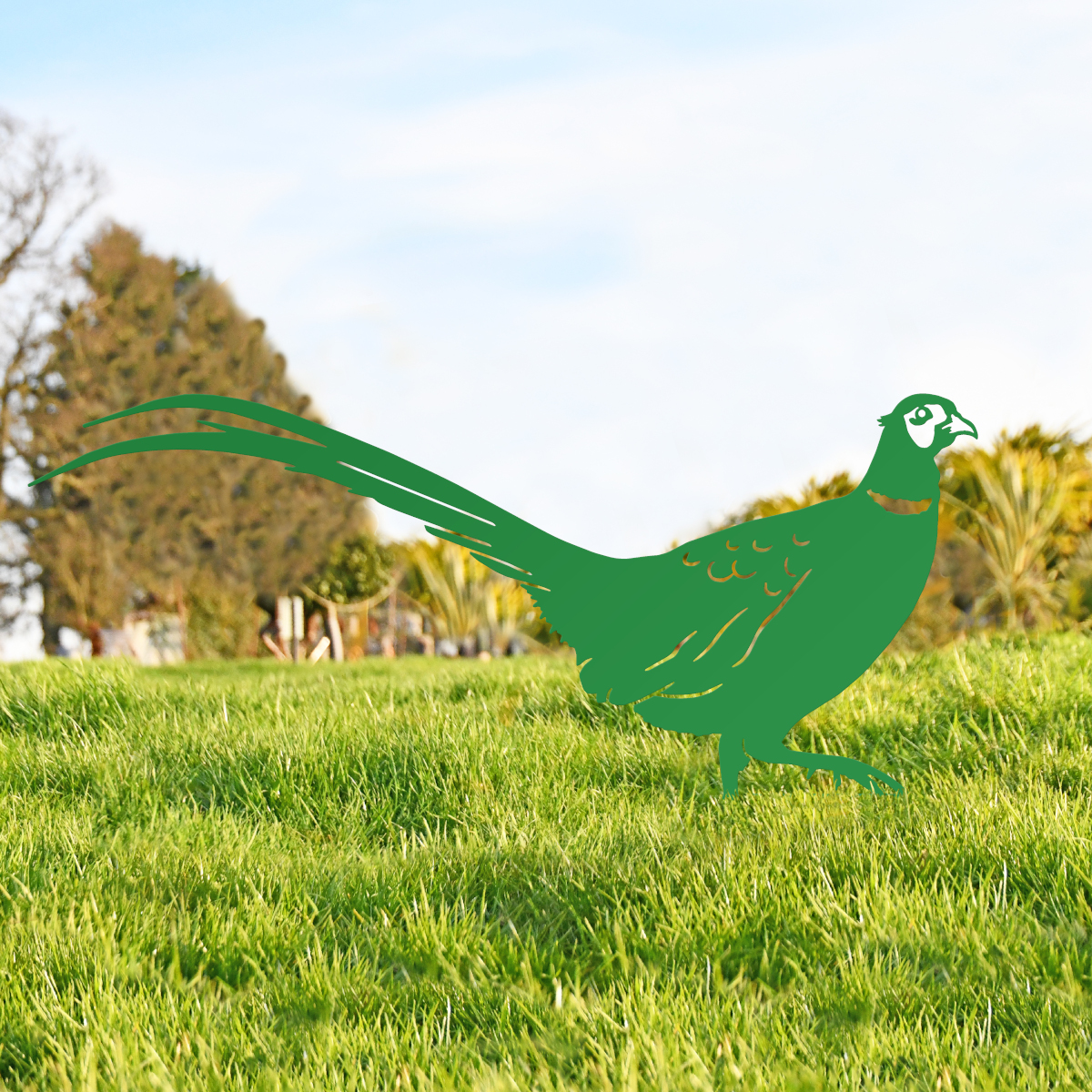 Green Ring-necked Pheasant Silhouett…