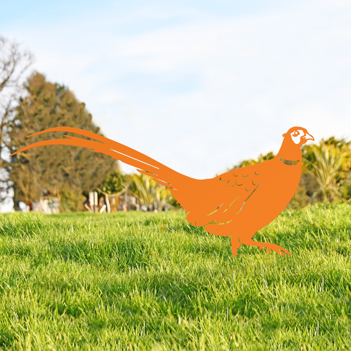 Orange Ring-necked Pheasant Silhouet…