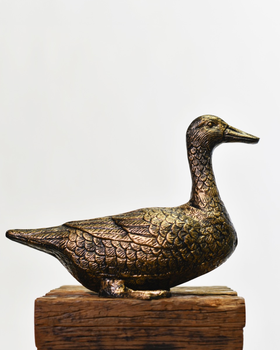 Rustic Black & Gold Sitting Duck