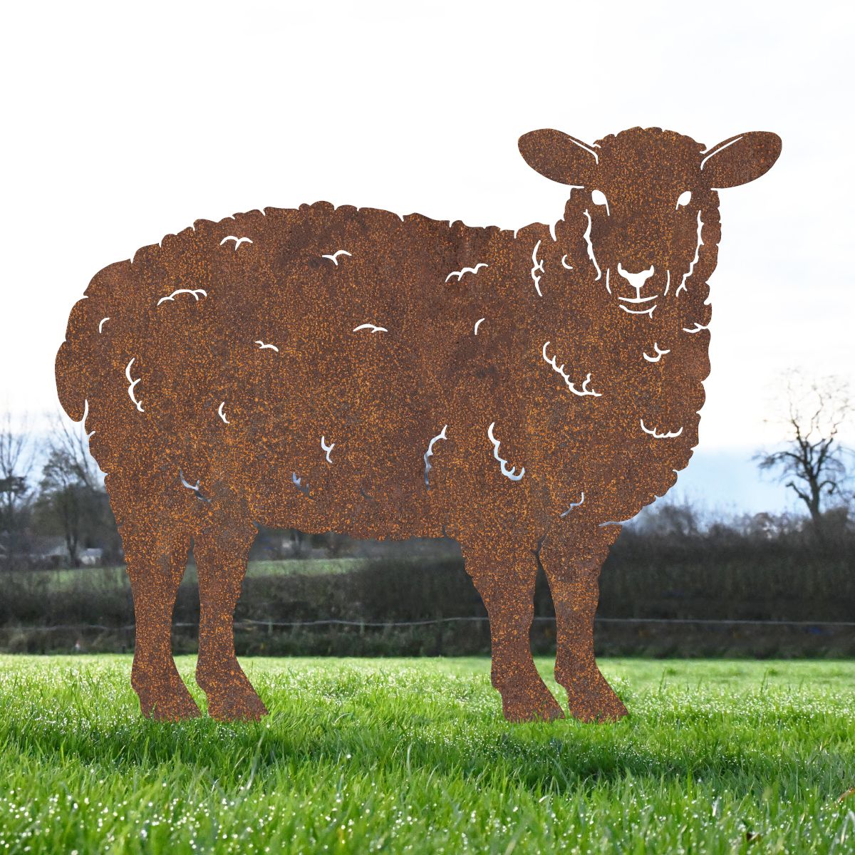Rustic Curly Sheep Iron Silhouette