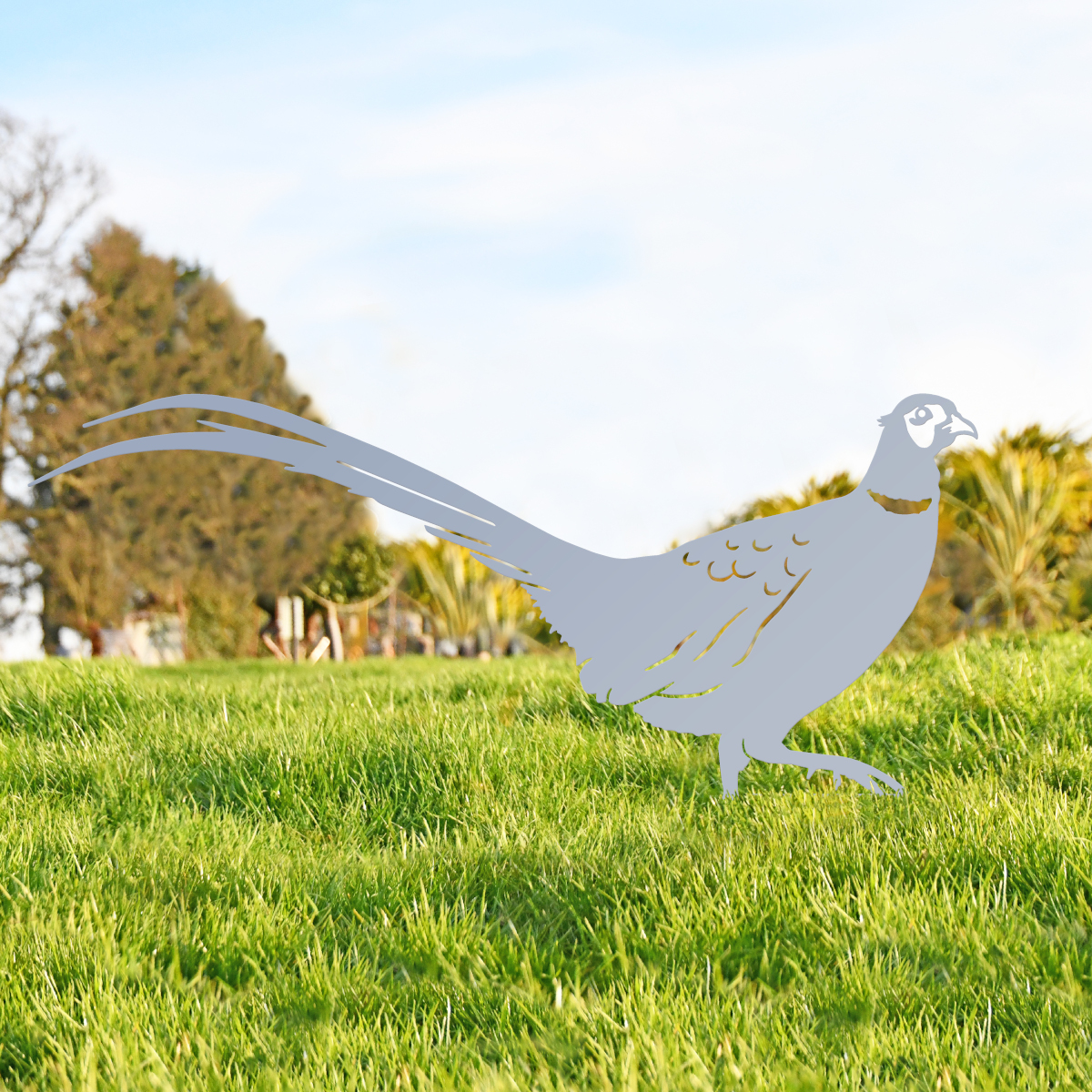 Silver Ring-necked Pheasant Silhouet…