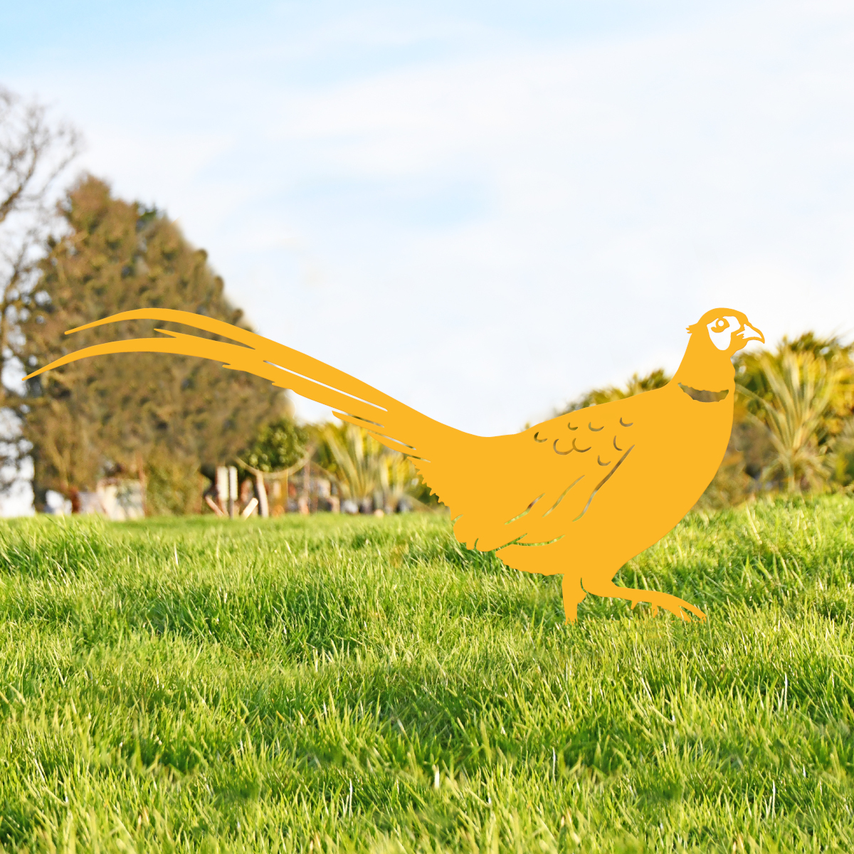 Yellow Ring-necked Pheasant Silhouet…