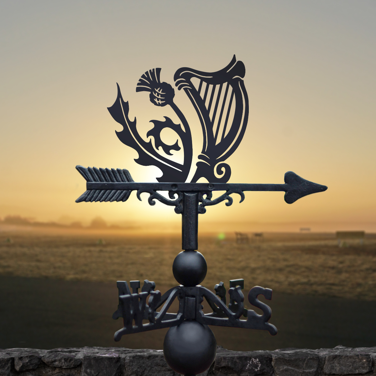 Cast Iron & Steel Scottish Thistle & Harp Weathervane