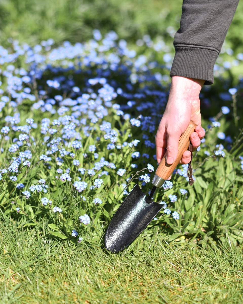 Carbon Steel Hand Trowel With Ash Wo…