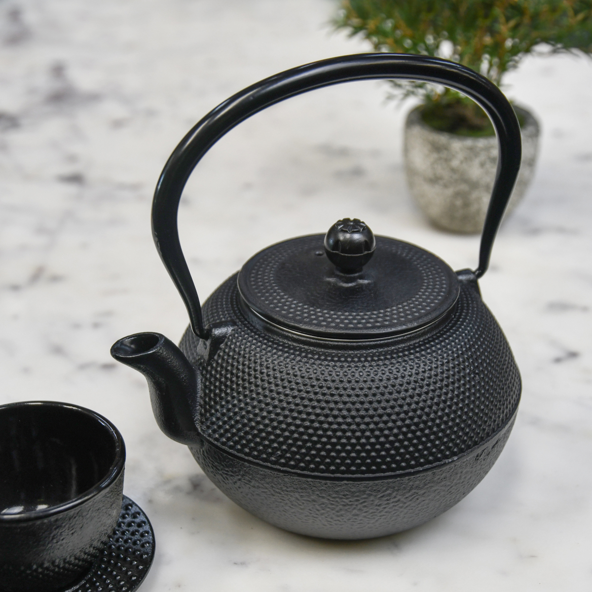 Cast Iron 'Okutama' Black Japanese Teapot