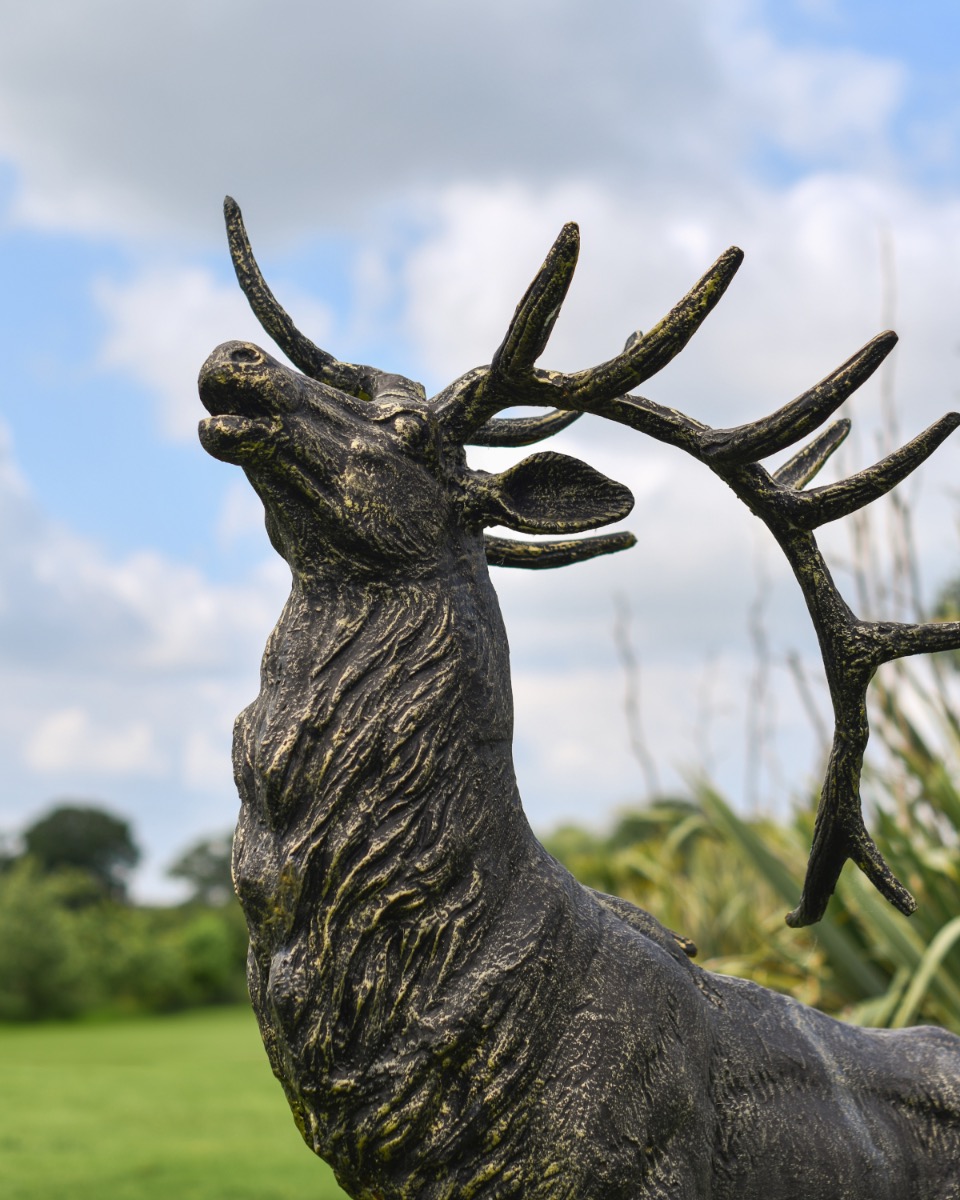 Antique Gold Cast Iron Stag - Leg Up Neck