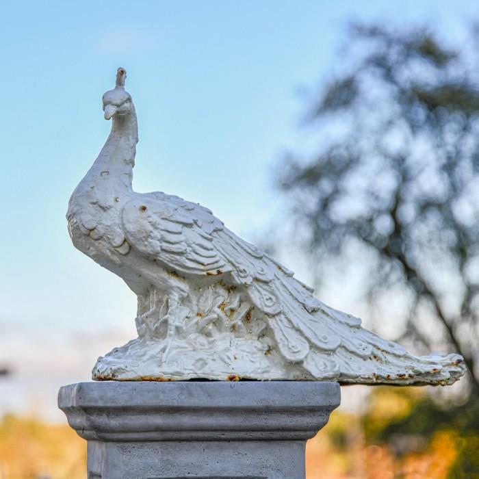 Cream Cast Iron Peacock