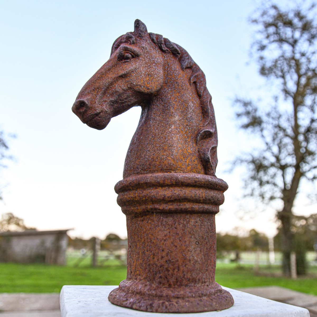 Rustic Cast Iron Horse Head Bust