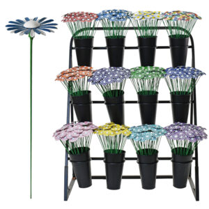 Daisy - Trade Offer