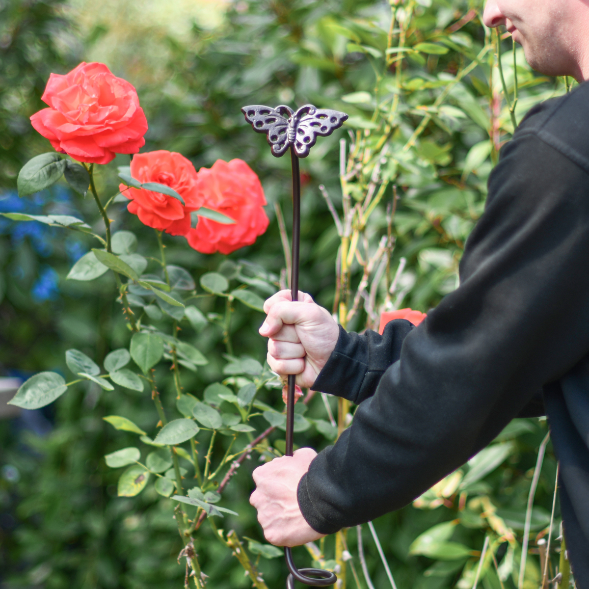 Raw Metal Butterfly Plant Support - 5ft