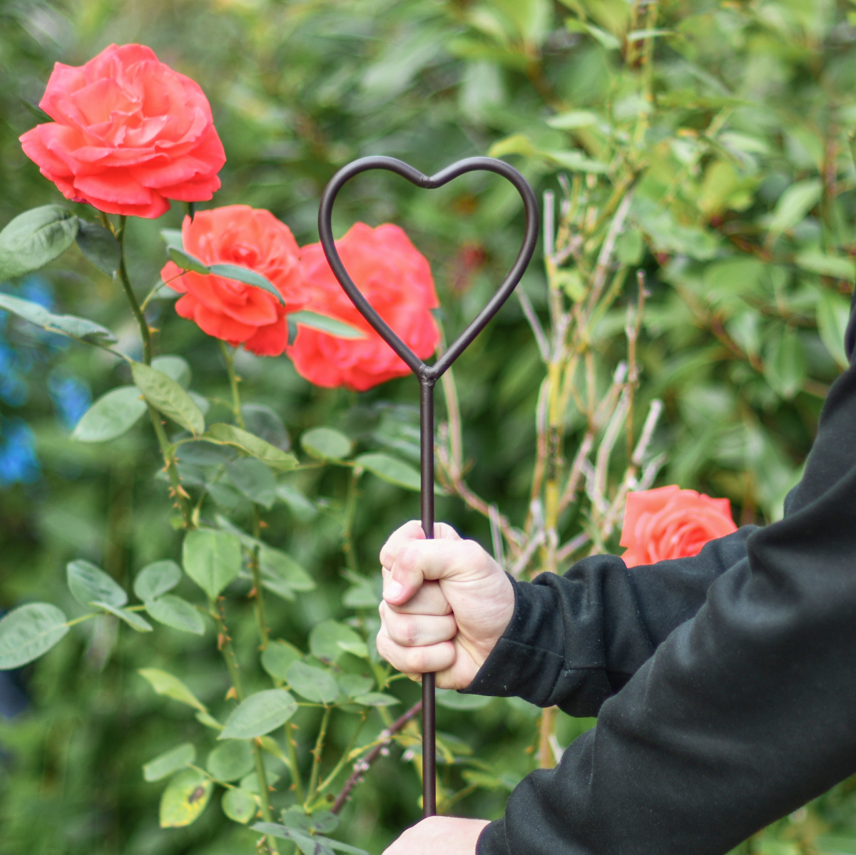 Raw Metal Heart Plant Support - 5ft