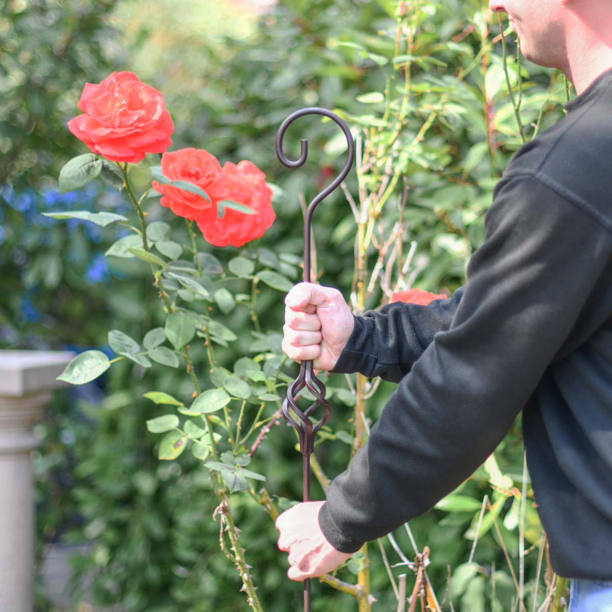 Raw Metal Hooked Plant Support - 5ft