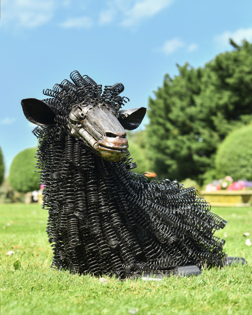 Black Lying Down Sheep Bedspring Garden Sculpture