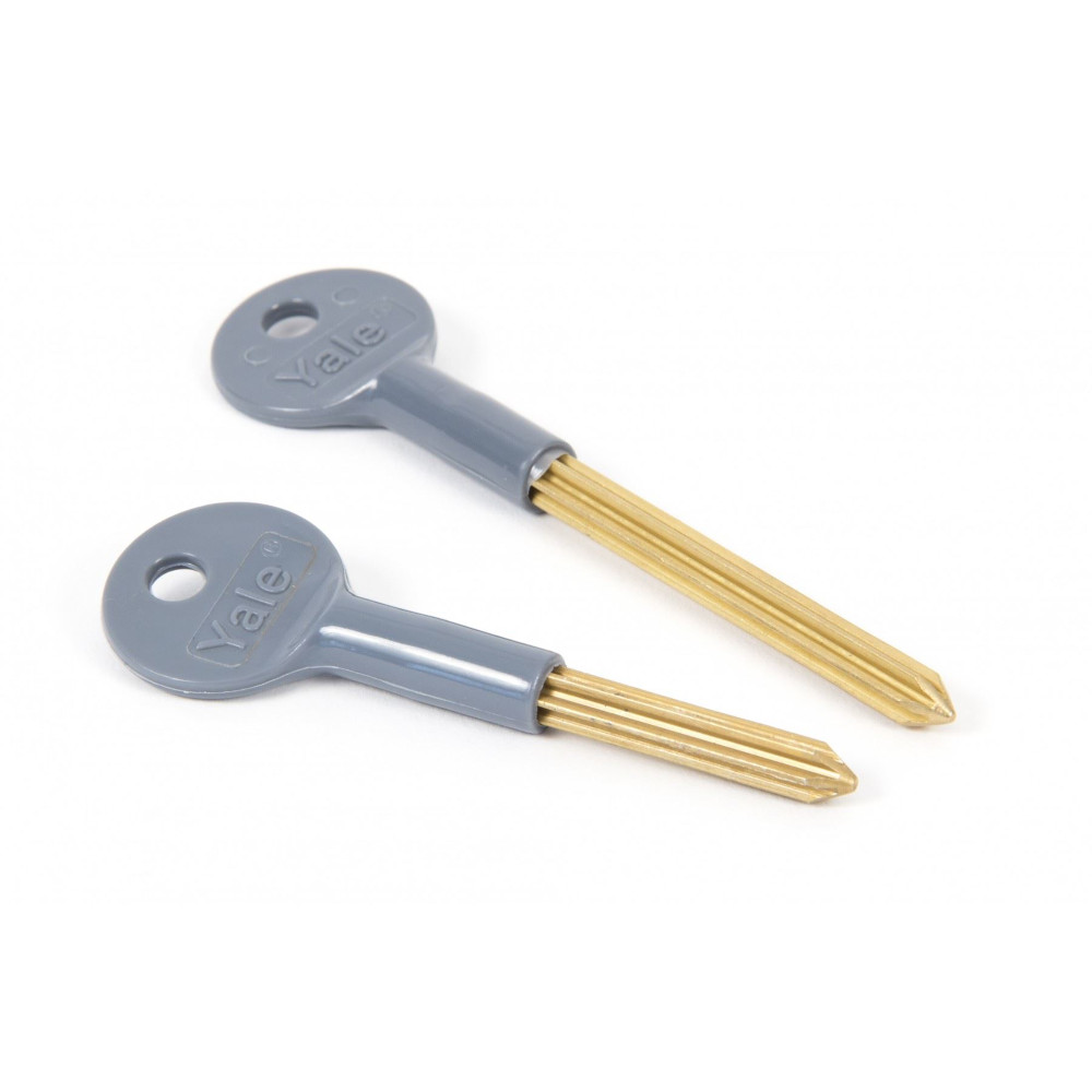 Chubb Security Star Key