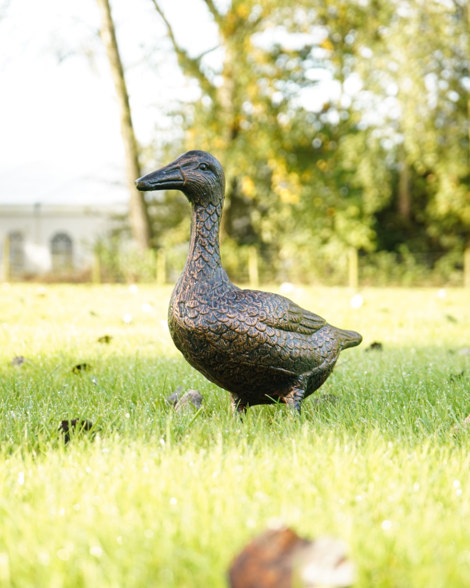 Aluminium Bronze Standing Duck Garden Sculpture
