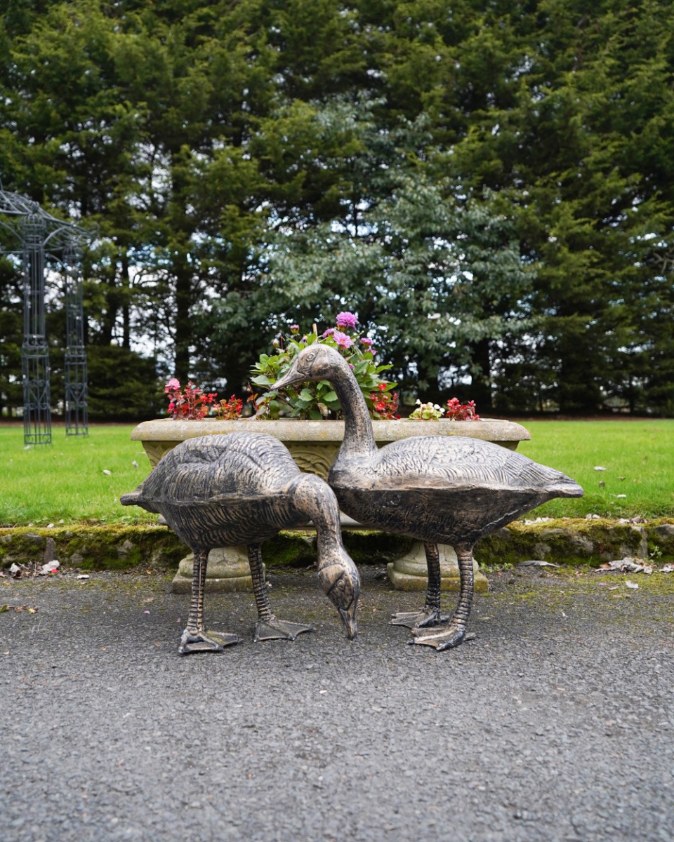 Cast Aluminium 'Gertrude & Grace' Brushed Bronze Geese Sculptures