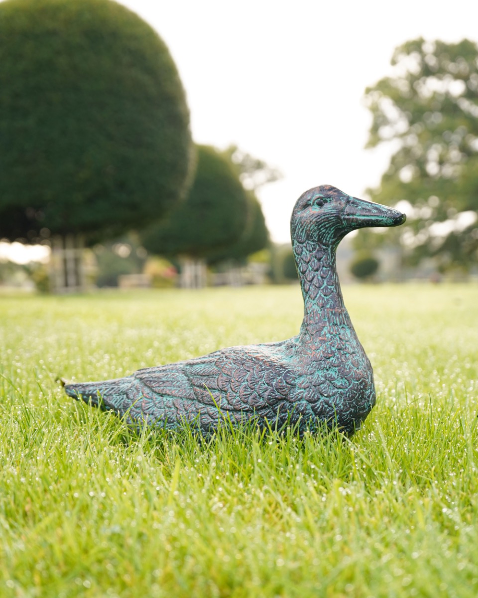 Cast Aluminium Verdigris Sitting Duck