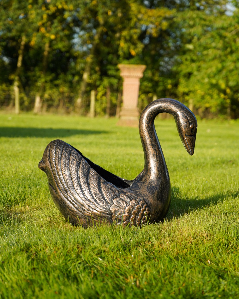 Small Bronze Ornate Swan Garden Plan…
