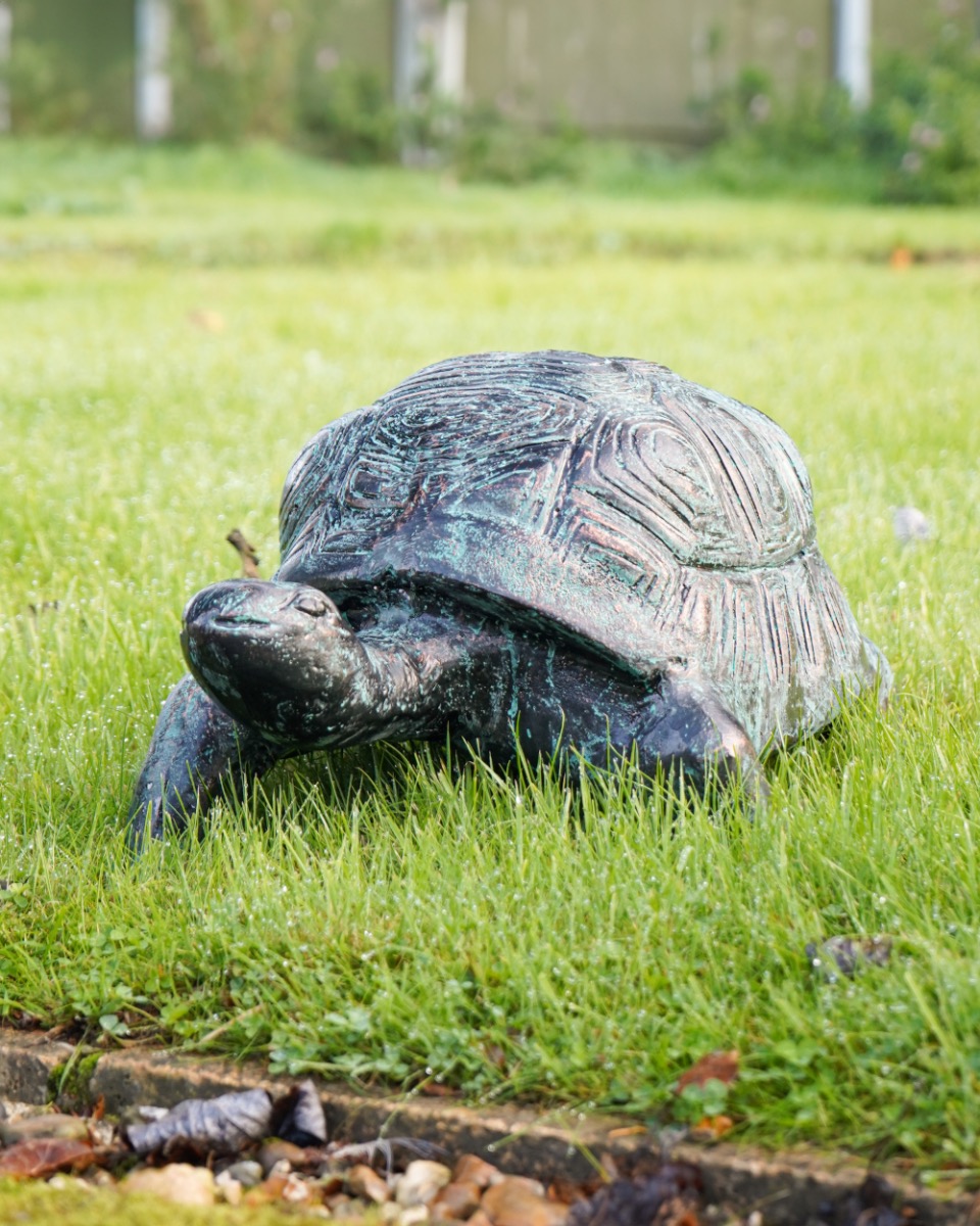 'Speedy' The Verdigris African Tortoise Aluminium Garden Sculpture