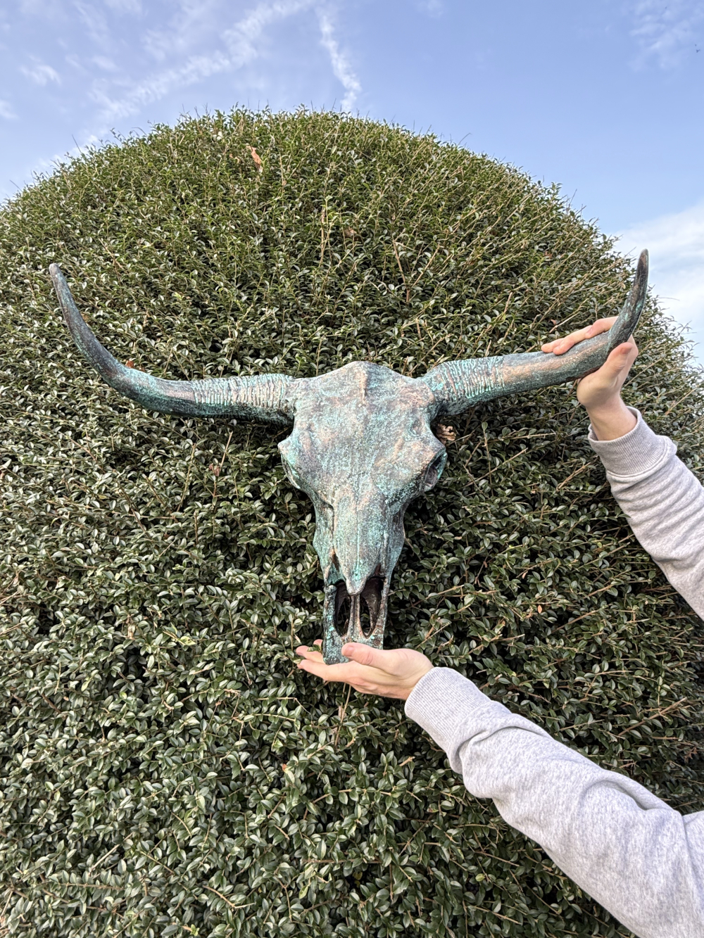 Large Cast Aluminium Verdigris Bison Skull Home Ornament