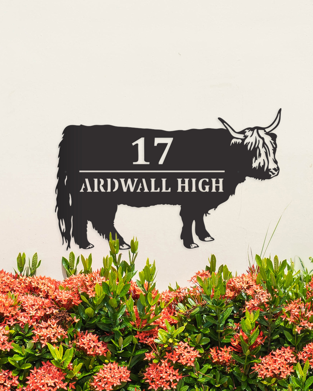 Black Highland Cow House Name & Numb…