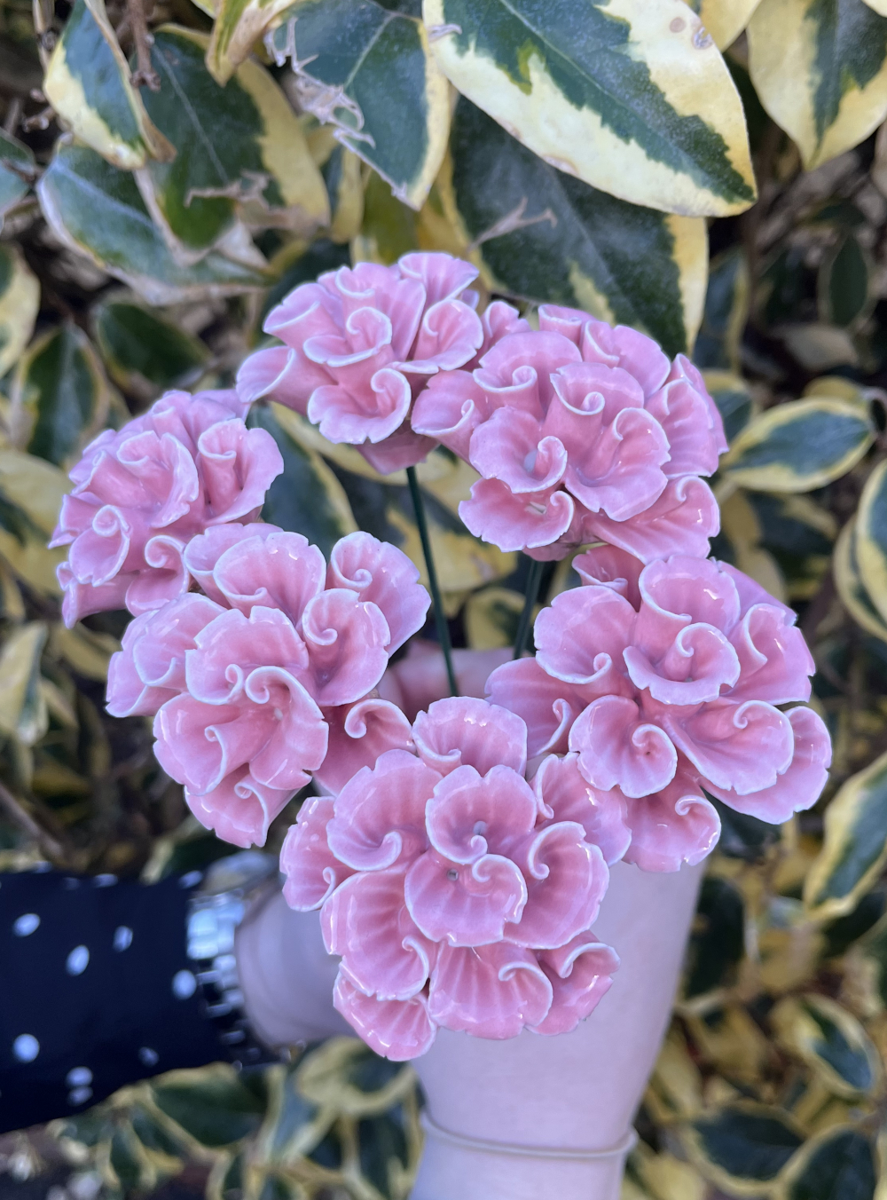 Set Of Six Pink Hydrangea Ornate Ceramic Flower Decoration