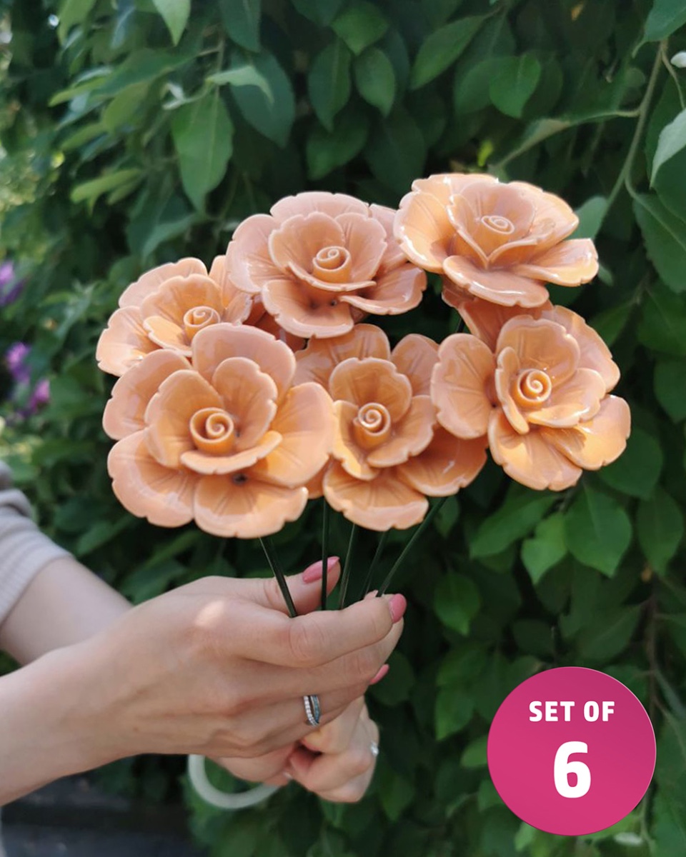 Set Of Six Orange Begonia Ornate Cer…