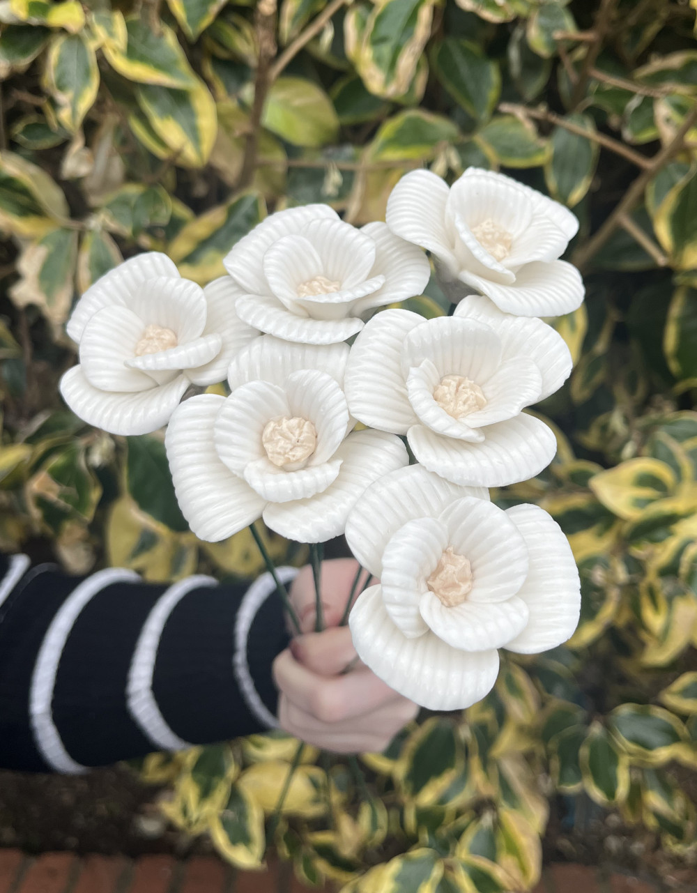 Set Of Six White Cosmos Ornate Ceramic Flower Decoration