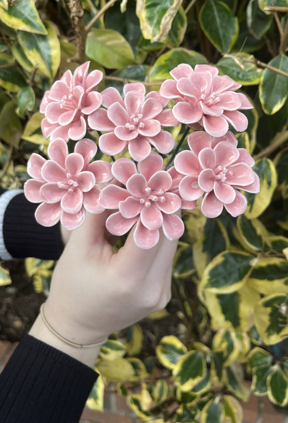 Set Of Six Pink Magnolia Ornate Ceramic Flower Decoration